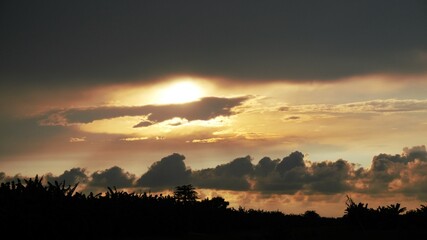 photo of a clear afternoon sky, evening sunset with clouds and yellow sky and silhouettes of plants