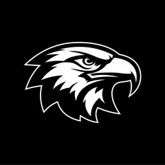 An eagle with a white head and a black background