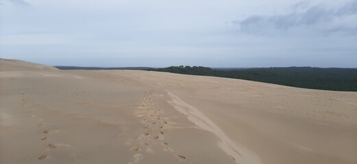 sand dunes in the desert