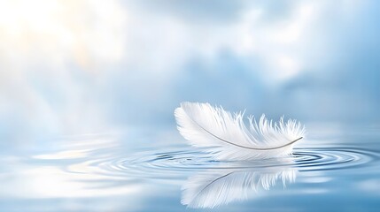 Gentle feather drifting serene water surface nature photography calm environment close-up view tranquility concept