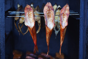 Wędzone ryby morskie w wędzarni nad morzem © FotoDax