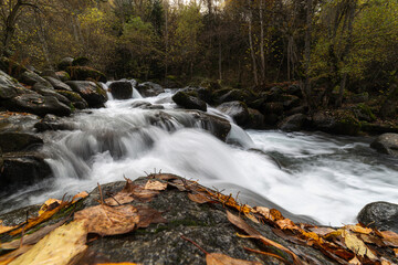 Rio otoño 