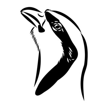 recommend clip art: Asian partridge, vector sketch, chukar