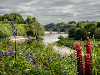 the bridge on the border