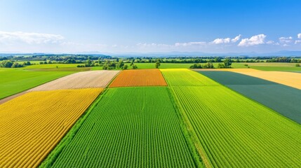 Obraz premium Aerial Patchwork of Vibrant Farmland