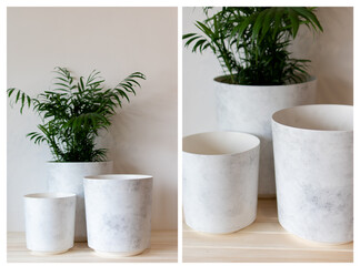 Three big White Flower Pots