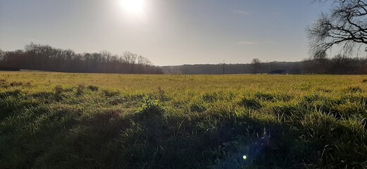 sunset over the river
