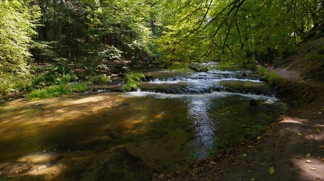 Tanew River. Small waterfalls. Natural river cascades. Path along the river. Szumy nad Tanwia nature reserve. Roztocze, Poland