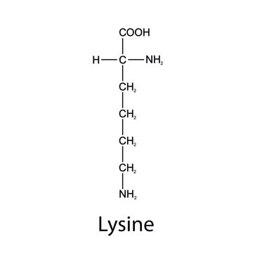 Chemical formula of lysine. Essential amino acids. Organic chemistry. Vector.