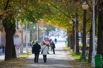 People walking in the park.