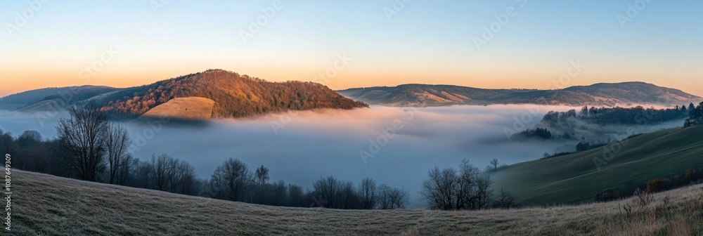 Poster a tranquil valley is enveloped in fog as the sun rises, illuminating rolling hills and distant trees