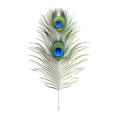 Obraz premium Peacock Feather on White Background