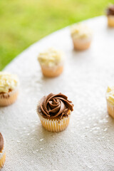 Yellow Cupcake with Chocolate Frosting on White Background