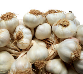 Garlic isolated on a white background. Pile of Fresh Garlic Bulbs