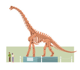 Museum of Paleontology. Brachiosaurus skeleton. People are visitors, tourists. Large prehistoric lizard. Jurassic dinosaur bones. Flat vector illustration © Mikhail