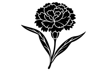 Elegant Line Silhouette Drawing of a Dianthus Flower A Minimalist Art Piece