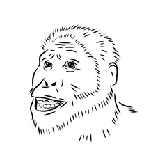 Australopithecus, vector sketchl. Graphic sketch. Vector