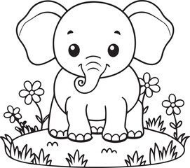 baby elephant