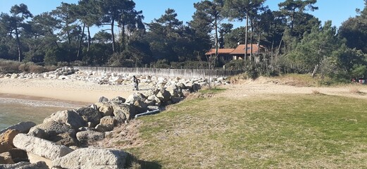 landscape with mountains and lake