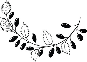 Minimalistic floral elements. Minimal boho floral frames and bouquets, organic decorative simple minimalistic floral icons. Vector isolated icon on white background.