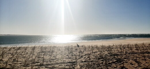 sunrise over the river