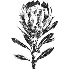 Flower with retro photocopy stipple effect, for grunge punk y2k collage design. Vector illustration in vintage halftone brutalist design for banner or poster