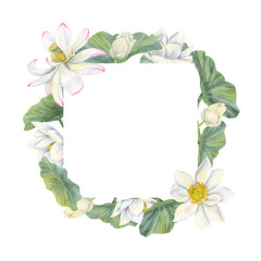 Watercolor white lotus flowers with buds, green leaves square frame. Blooming waterlilies illustration in realistic style. Border for health care package product, greeting cards. Copy space for text