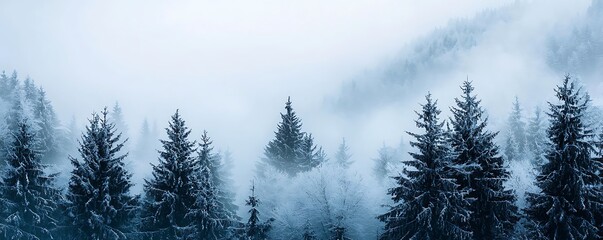 Obraz premium Enchanting winter landscape in the Alps with fog and panoramic views frozen trees.
