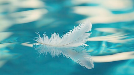 Naklejka premium A delicate white feather floating gently on calm turquoise water, surrounded by soft ripples and subtle reflections, creating a peaceful ambiance.