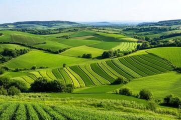 Fototapeta premium A view from above of a sprawling farmland, showing neat, colorful crop patterns under a clear sky