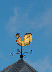 Golden Weather Cock