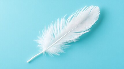 White feather lying on a soft blue background, creating a calming visual with gentle shadows that highlight its texture.