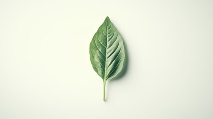 Obraz premium Close-up of a Single Green Leaf on White Background