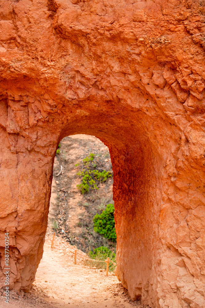 Poster Amazing landscape of Bryce Canyon National Park in summer season, Utah