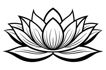 Elegant Line Silhouette Drawing of a Lotus A Minimalist Art Inspiration