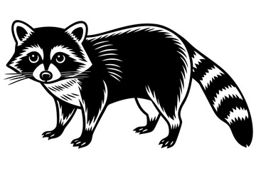 Minimalist Line Silhouette Drawing of a Raccoon Simple & Elegant Art
