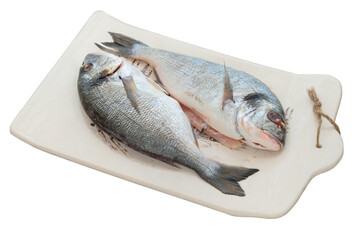 Fish on ceramic board isolated on white background. Raw dorada is ready for cooking. Uncooked seafood.