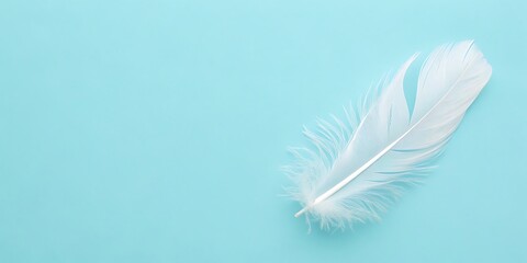 Minimalist feather design on pastel blue background for modern decor

