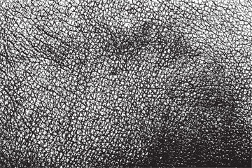 Scratched Grunge Urban Background Texture Vector. Dust Overlay Distress Grainy Grungy Effect. Distressed Backdrop Vector Illustration. Isolated Black on White Background. EPS 10.