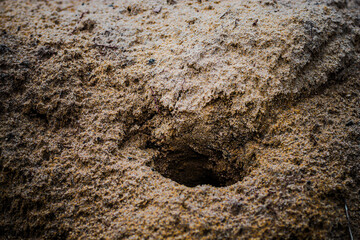 close-up of a hole in the ground sandy dirt texture background