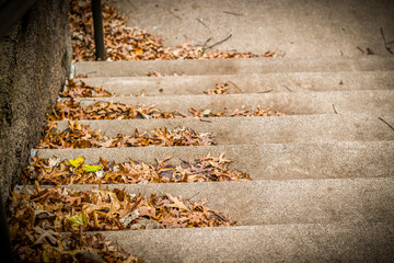 close-up of autumn leaves on concrete stairs background