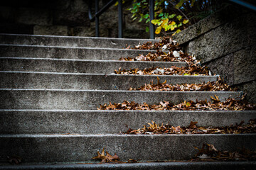 stone stairs in the park autumn backdrop 