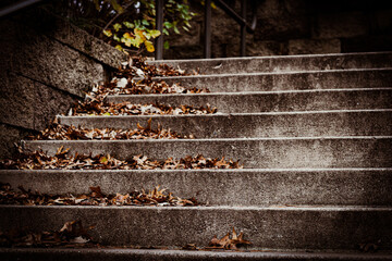 old weathered staircase outside in autumn with leaves background