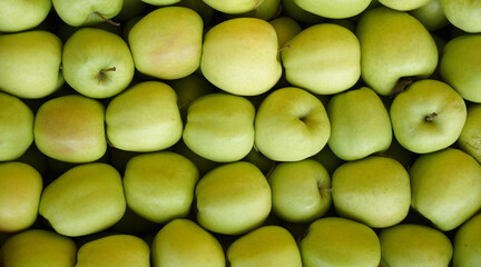 apples close-up background. harvest green apple in box. top view. 