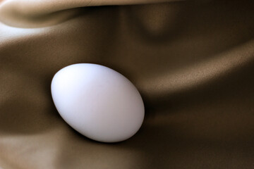 abstract single egg on a neutral earth tone brown gold taupe draped elegant satin silky smooth texture background