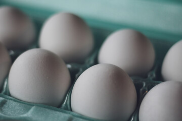 white eggs in a carton close-up background