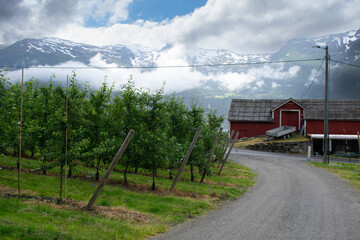 Fototapete bei efototapeten.de bestellen   