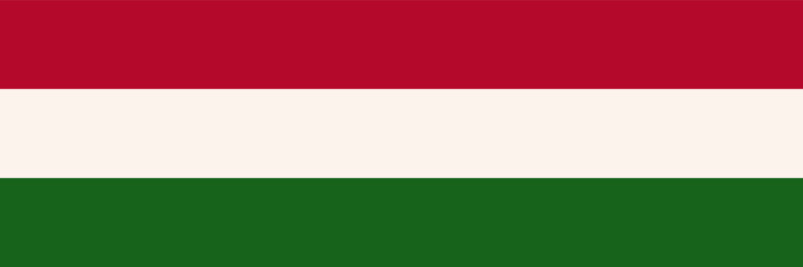 National flag of Hungary. Hungarian flag vector illustration.
