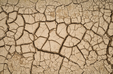 Cracks in dry soil. Top view.