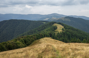 Ukrainian mountains Carpathians in autumn